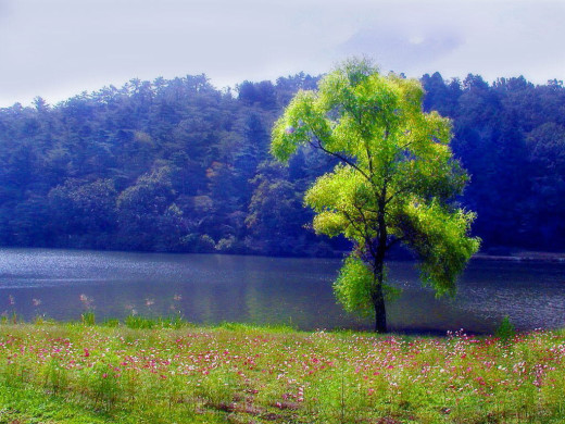32898 (a): :1024x768